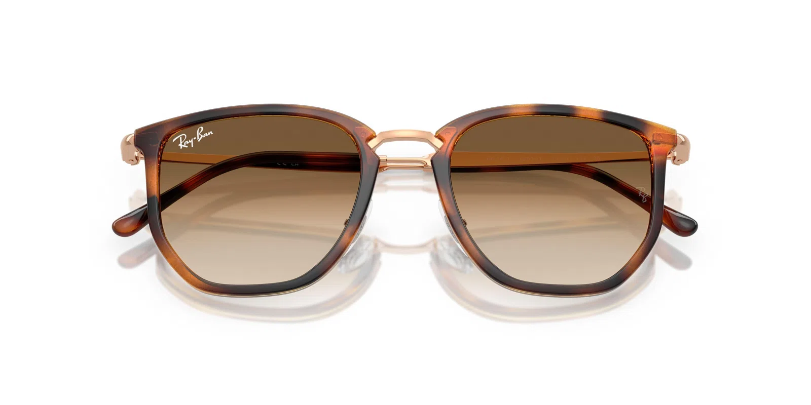 Ray-Ban 4451 Sunglasses - view 19